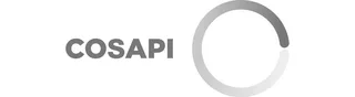 Cosapi